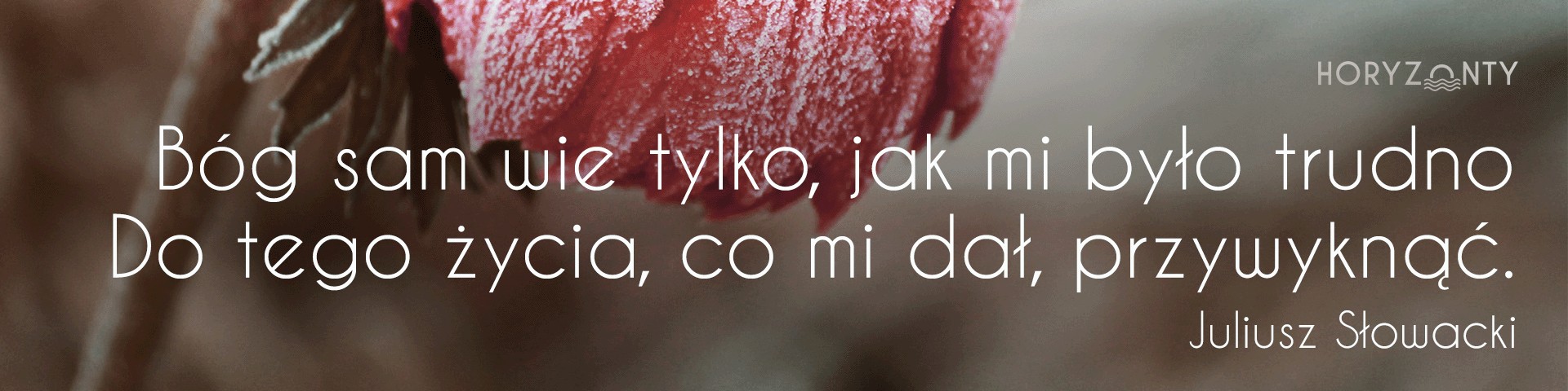 #90 Słowo na horyzoncie – życie