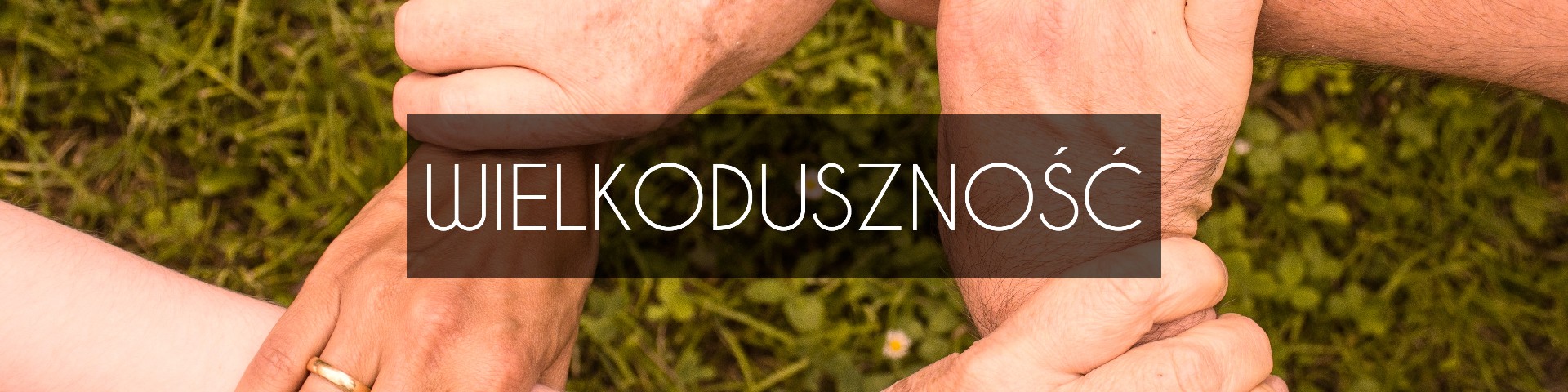 Horyzonty polskiej edukacji – wielkoduszność