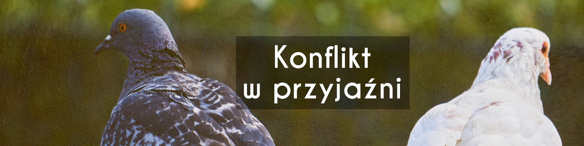 Konflikt w przyjaźni