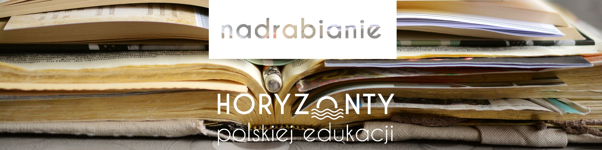 Horyzonty polskiej edukacji – nadrabianie