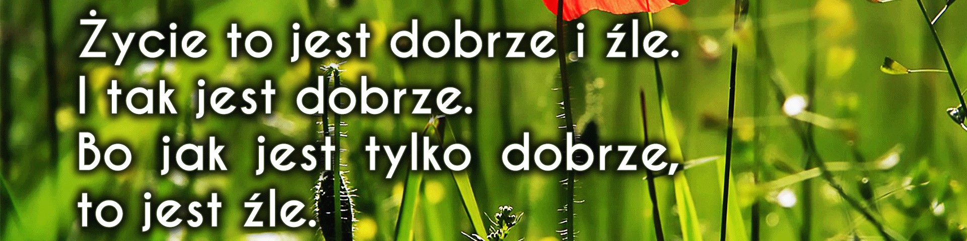 #124 Słowo na horyzoncie — dobrze