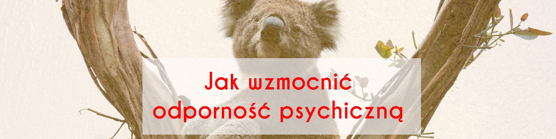 Jak wzmocnić odporność psychiczną? 