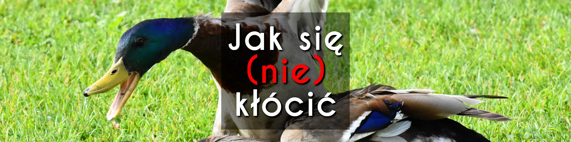 Jak się (nie) kłócić