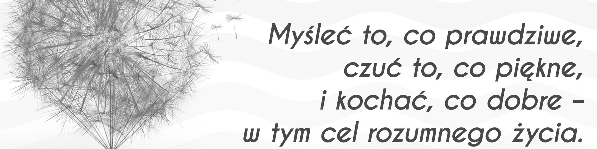 #68 Słowo na horyzoncie – cel