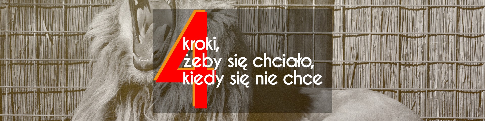 4 kroki, żeby się chciało, kiedy się nie chce