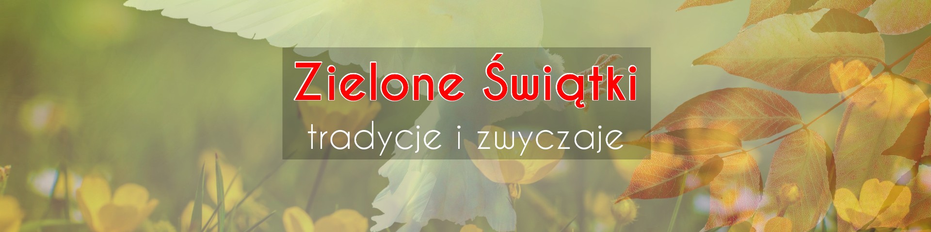 Zielone Świątki – tradycje i zwyczaje