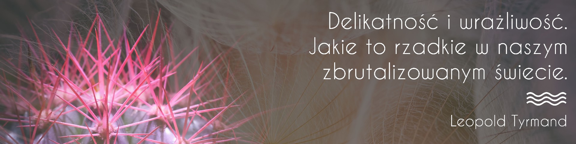 #6 Słowo na horyzoncie – delikatność