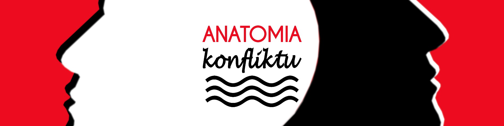 Anatomia konfliktu