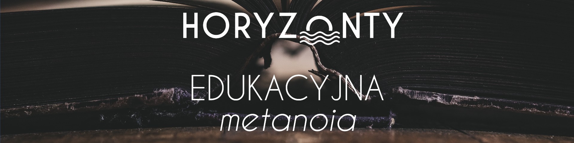 Edukacyjna metanoia