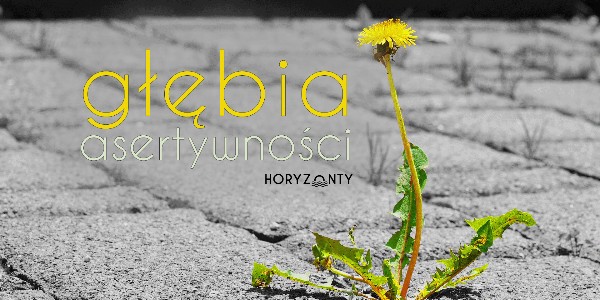 Głębia asertywności