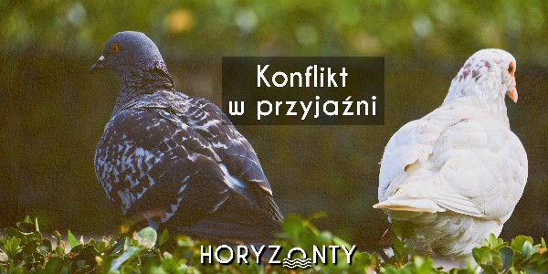 Konflikt w przyjaźni