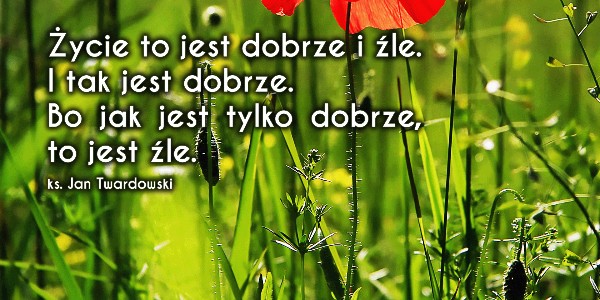 #124 Słowo na horyzoncie — dobrze