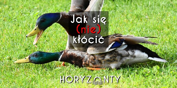 Jak się (nie) kłócić