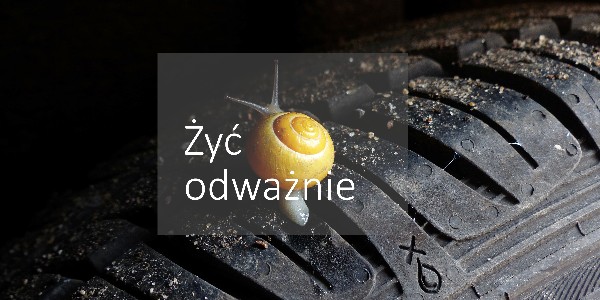 Żyć odważnie