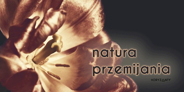 Natura przemijania