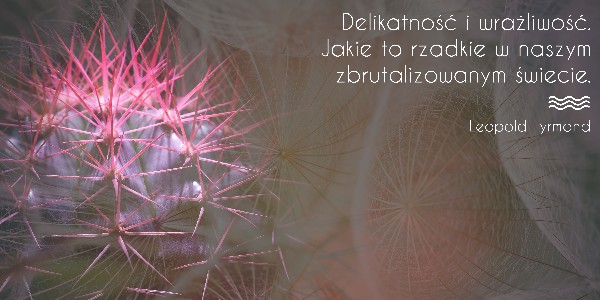 #6 Słowo na horyzoncie – delikatność