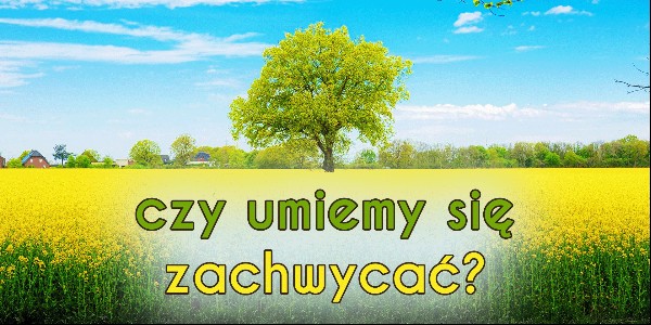 Czy umiemy się zachwycać?