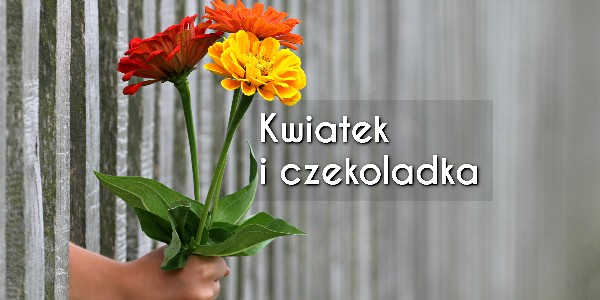 Horyzonty polskiej edukacji – kwiatek i czekoladka
