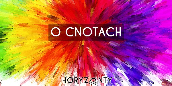 Horyzonty polskiej edukacji – o cnotach